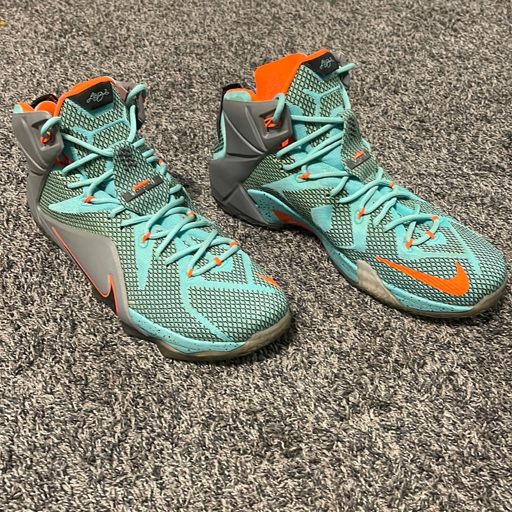 Nike Lebron 12 nsrl size 13